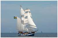 Hanse Sail 2009